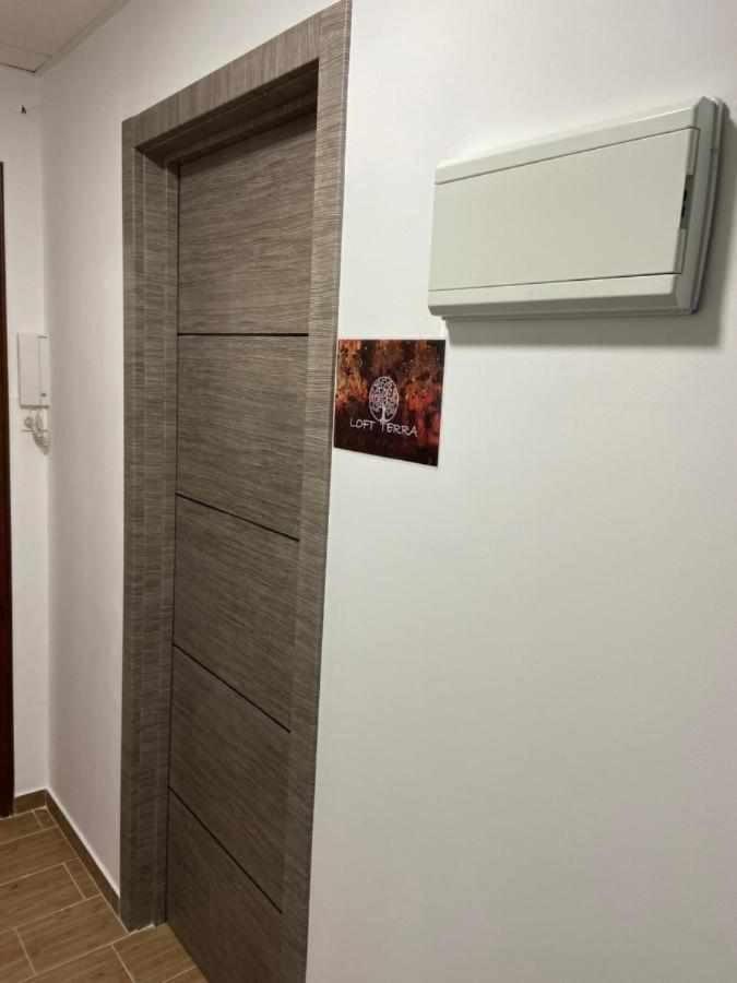 Apartamentos Terra Y Onix Zona Centro Елда Екстериор снимка